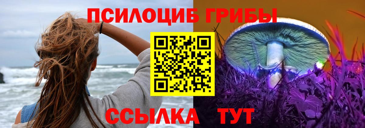 Воронеж  Псилоцибиновые грибы мухоморы  Вход с VPN 